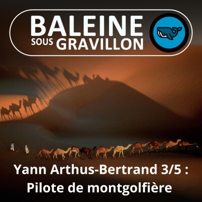 S04E78 Yann Arthus Bertrand 3/5 : Pilote de montgolfière au Kenya ... La savane vue du ciel cover