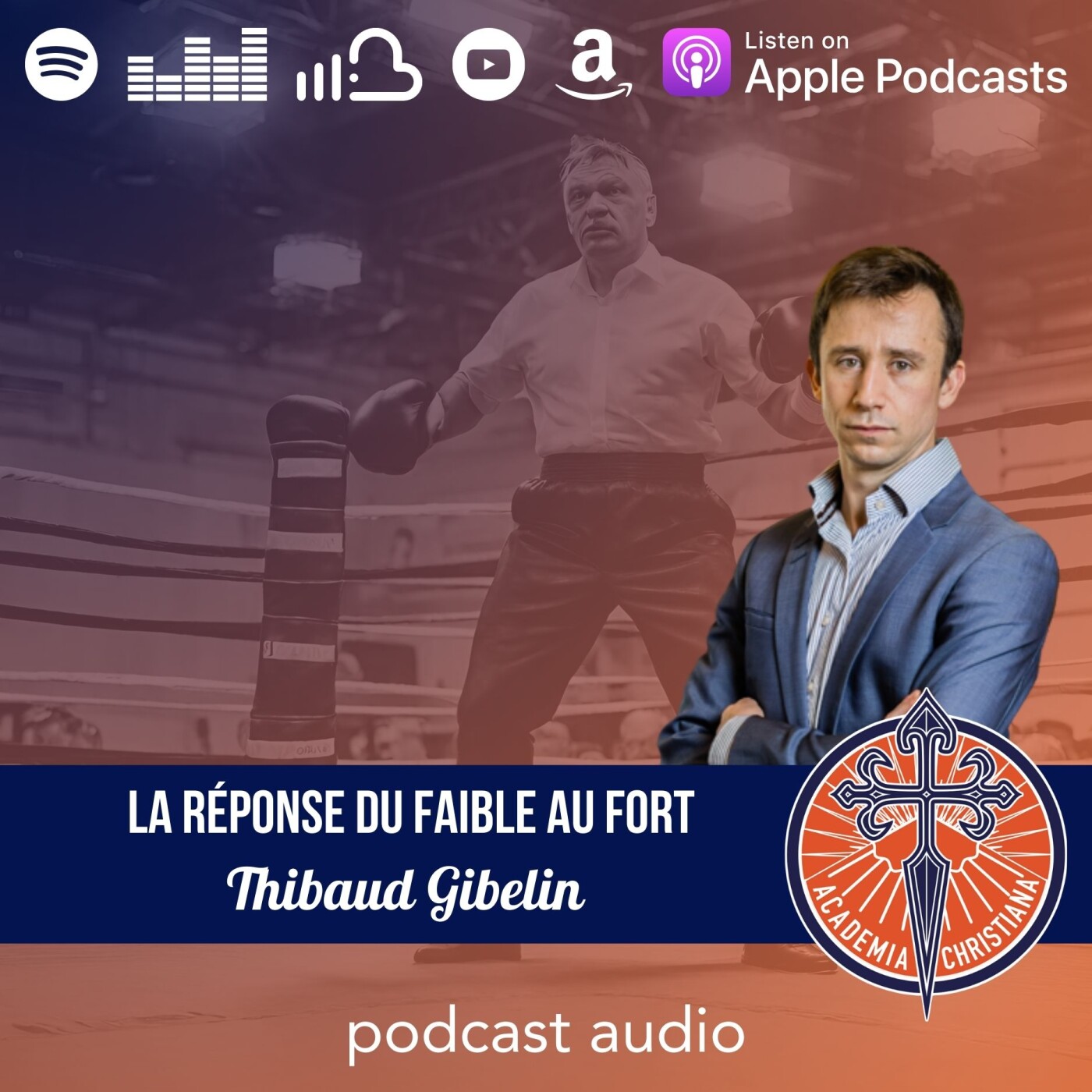 Thibaud Gibelin - La réponse du faible au fort : leçons des contre-attaques hongroises episode artwork