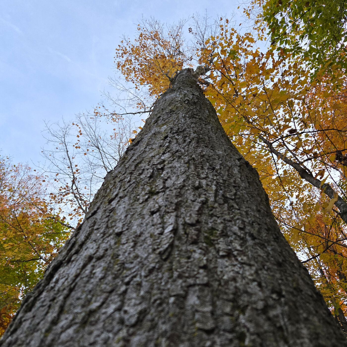 Humain.e.s en processus