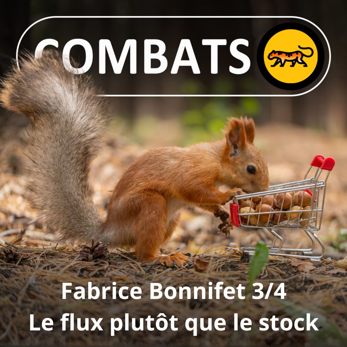 S05E39 Fabrice Bonnifet 3/4 : Cesser de posséder, le flux plutôt que le stock S05E39 Fabrice Bonnifet 3/4 : Cesser de posséder, le flux plutôt que le stock