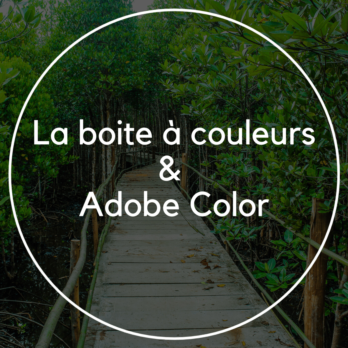 Rendez-vous en terre digitale
