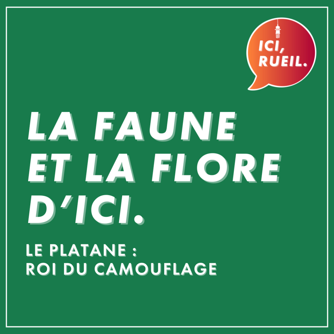 La Faune et la Flore d'Ici : Le platane, roi du camouflage episode artwork