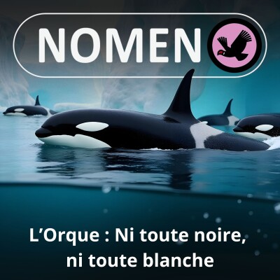 S05E33 L'Orque : Ni toute noire, ni toute blanche cover