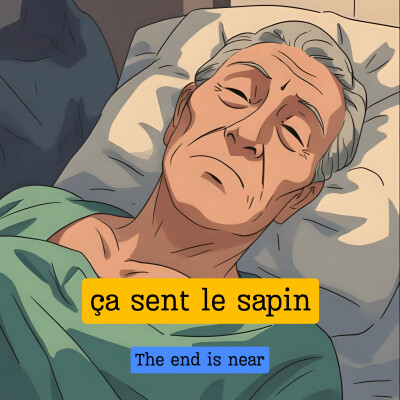 Ça sent le sapin cover