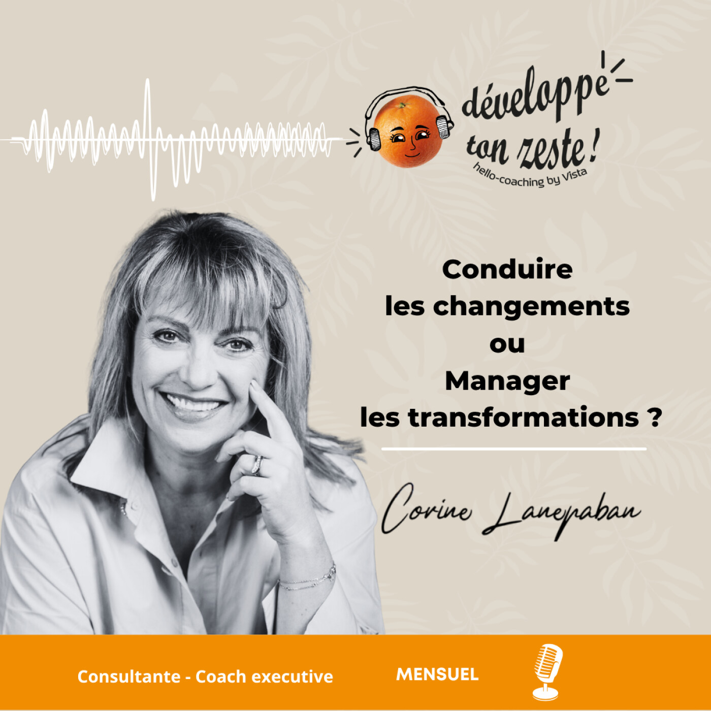 Conduire les changements ou Manager les transformations ? episode artwork