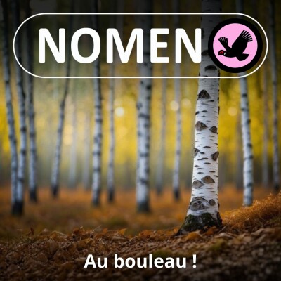 S01E81 Y'a du bouleau ! cover