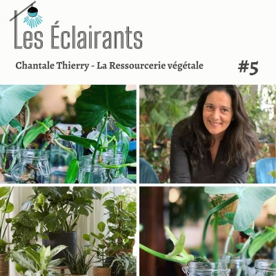 La ressourcerie végétale - épisode #5 cover