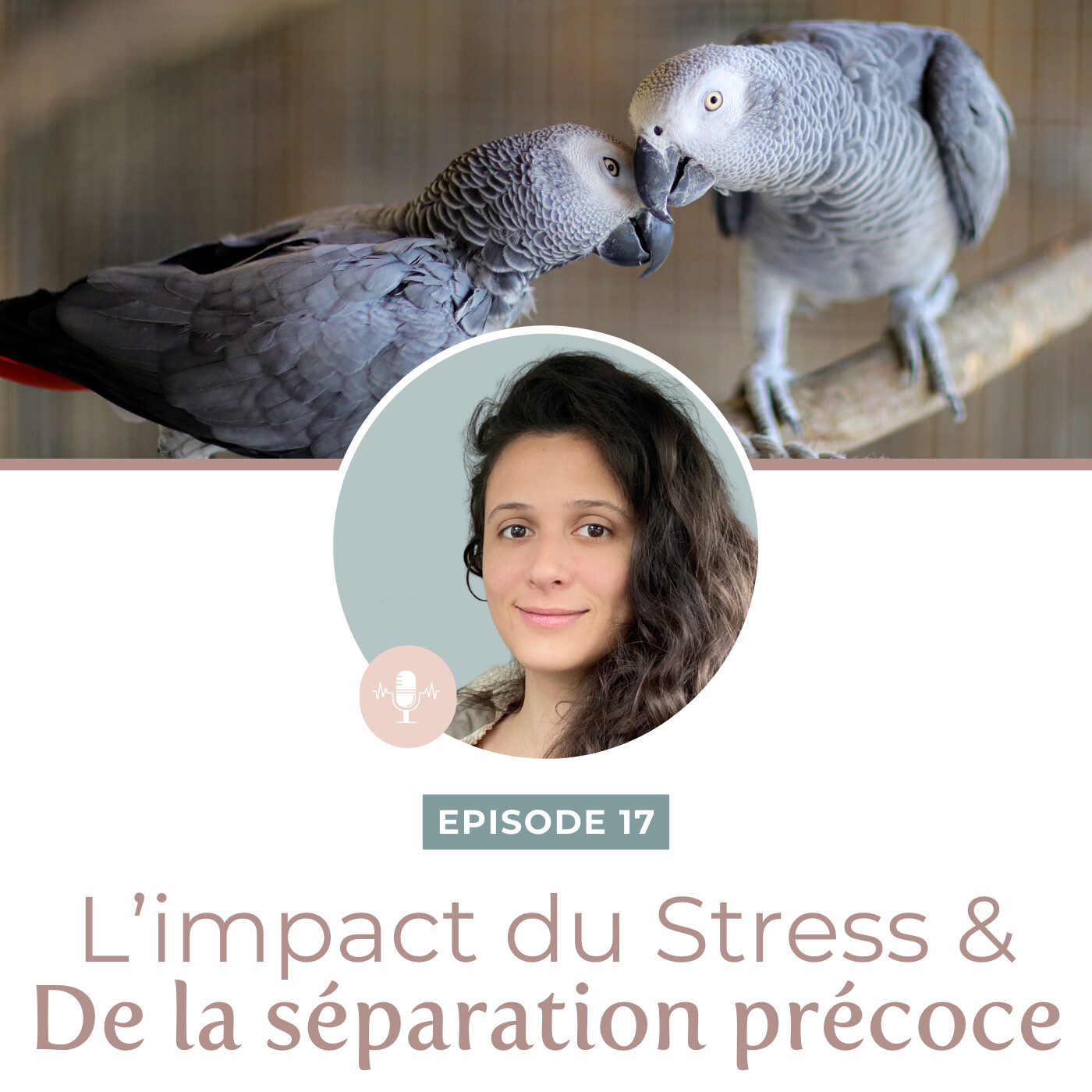 Animale Therapie