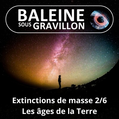 S03E15 Grandes extinctions de masse 2/6 : Quels sont les grands âges de la Terre ? cover