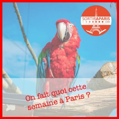 Les sorties de la semaine du 9 au 15 août 2021 cover