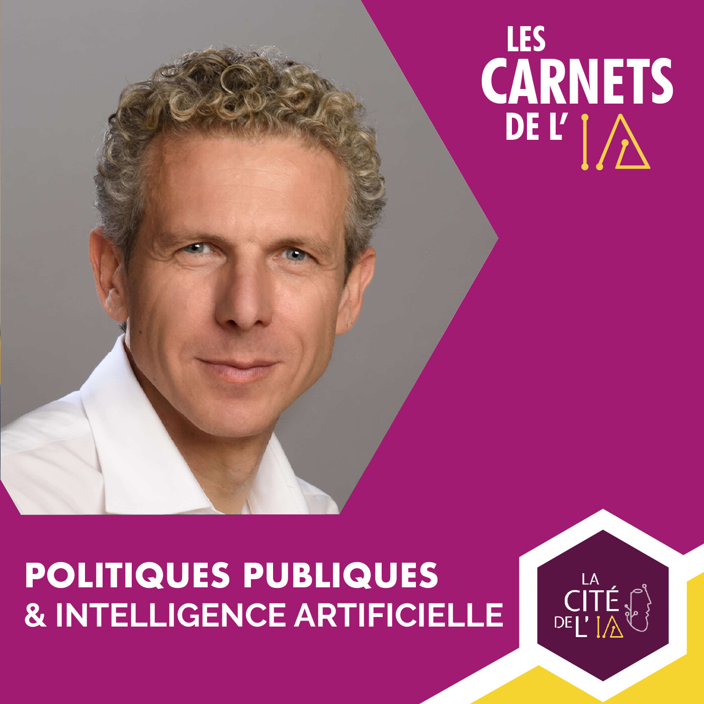 Les Carnets de l\'IA