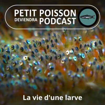 S03E35 À quoi ressemble la vie d'une larve de poisson ? (Bill François) cover