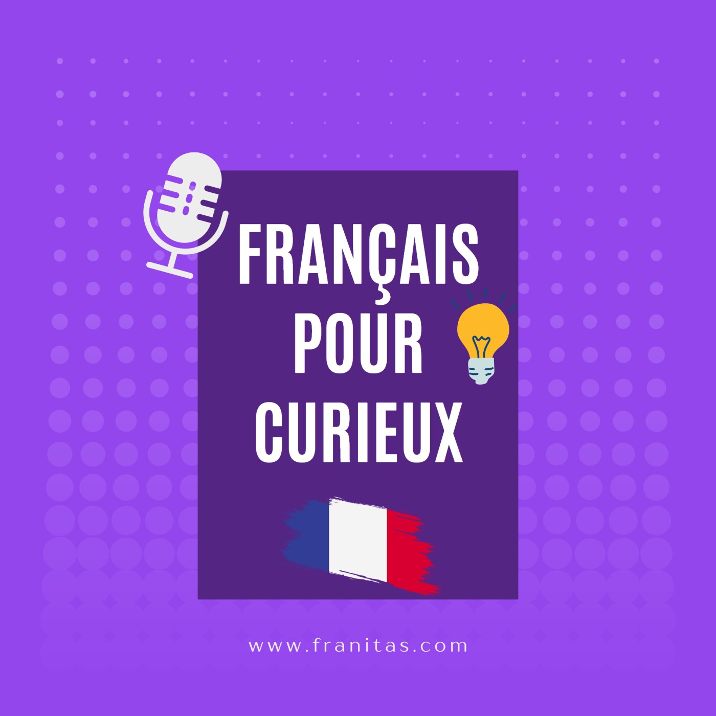 Français pour curieux