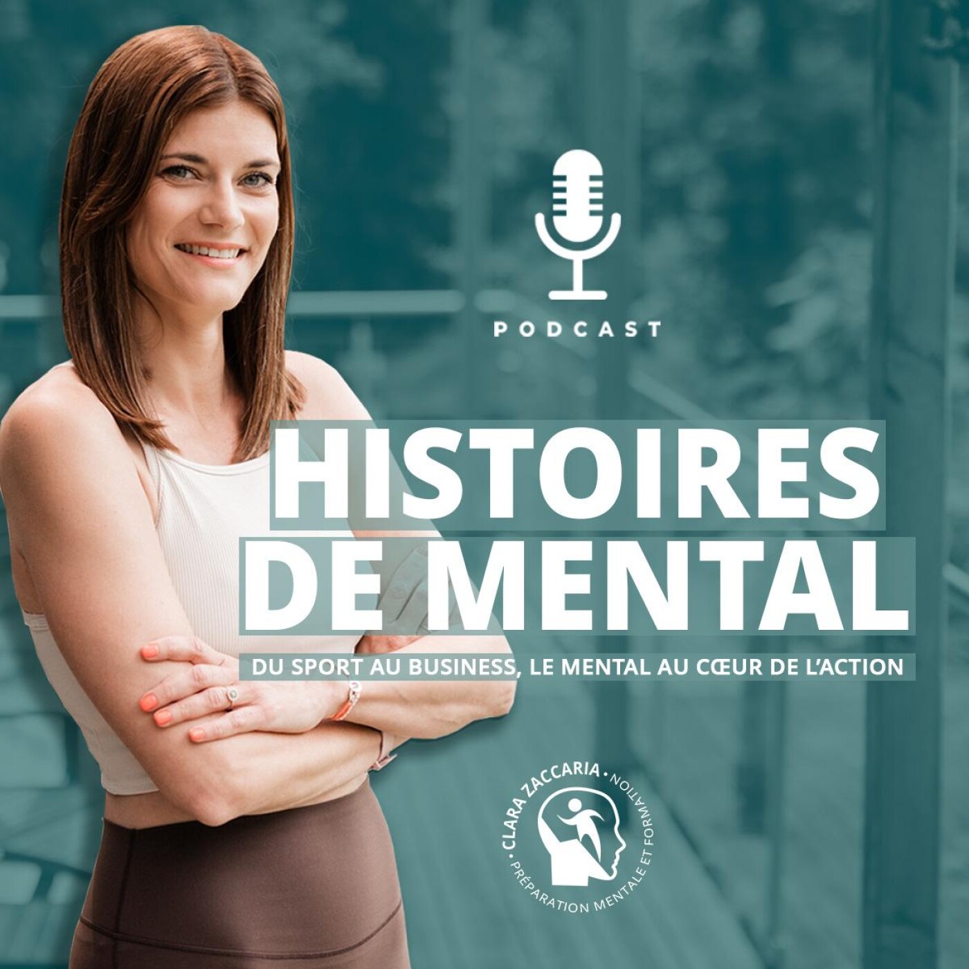 HISTOIRES DE MENTAL
