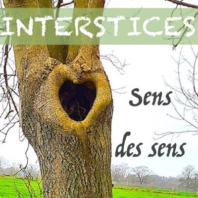 Sens des sens cover