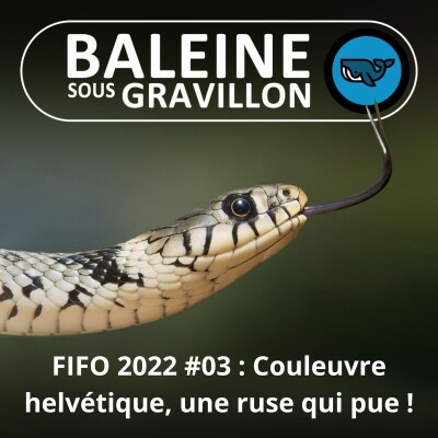 FIFO #03 : La stratégie de la Couleuvre helvétique (Corentin Foucher, herpétologue) cover