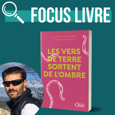 INTERVIEW - Les vers de terre sortent de l'ombre | Mickaël Hedde cover