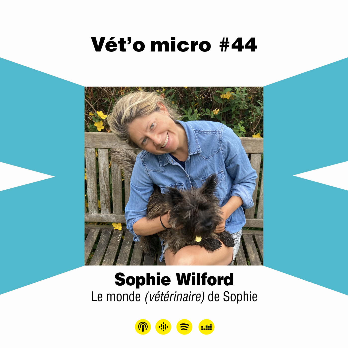 Vet\'o micro