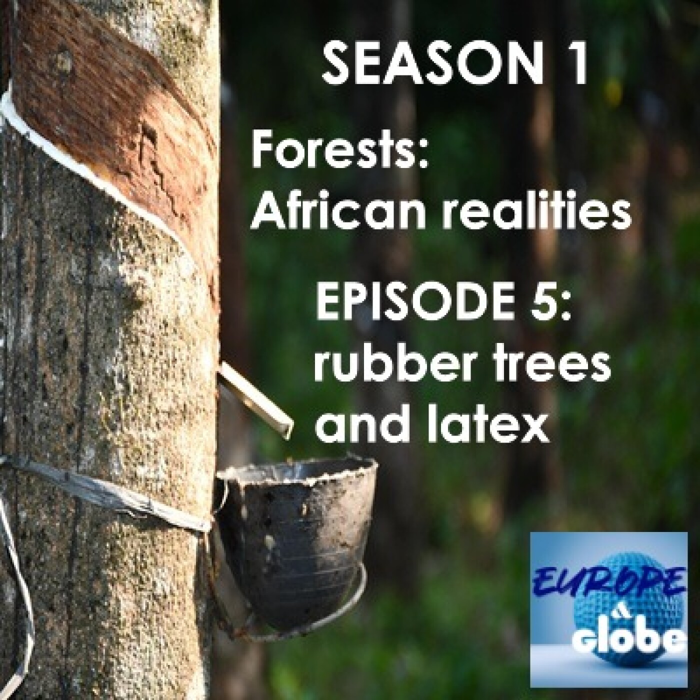 Europe and Globe, The podcast that explores today\'s world and changes the way we look at tomorrow\'s challenges