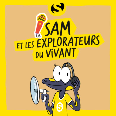 Episode 9 : Que font ces algues sur nos plages ? cover
