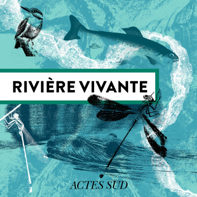 [Bande-Annonce] Rivière Vivante - Entre terre et mer, le delta du Rhône - Épisode 1/6 cover