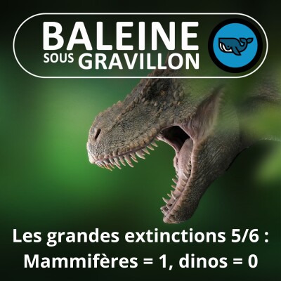 S03E18 Grandes extinctions de masse 5/6 : Après les dinosaures, champ libre pour les mammifères (Sylvie Crasquin, paléontologue) cover