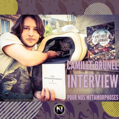 Les metamorphoses cover