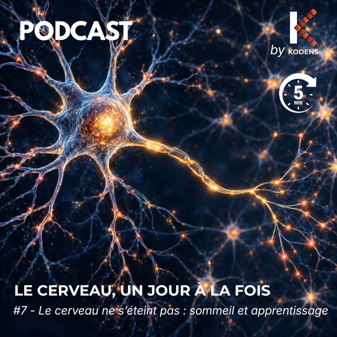 Episode#7 - Le cerveau ne s'arrête pas : sommeil et apprentissage. episode artwork