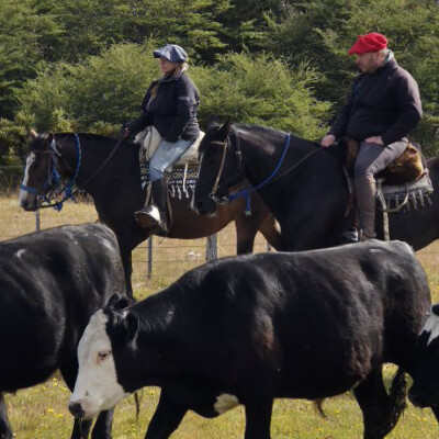 Patagonie : Apprentissages et questionnements chez les Gauchos - Mandibule - Episode 6 cover