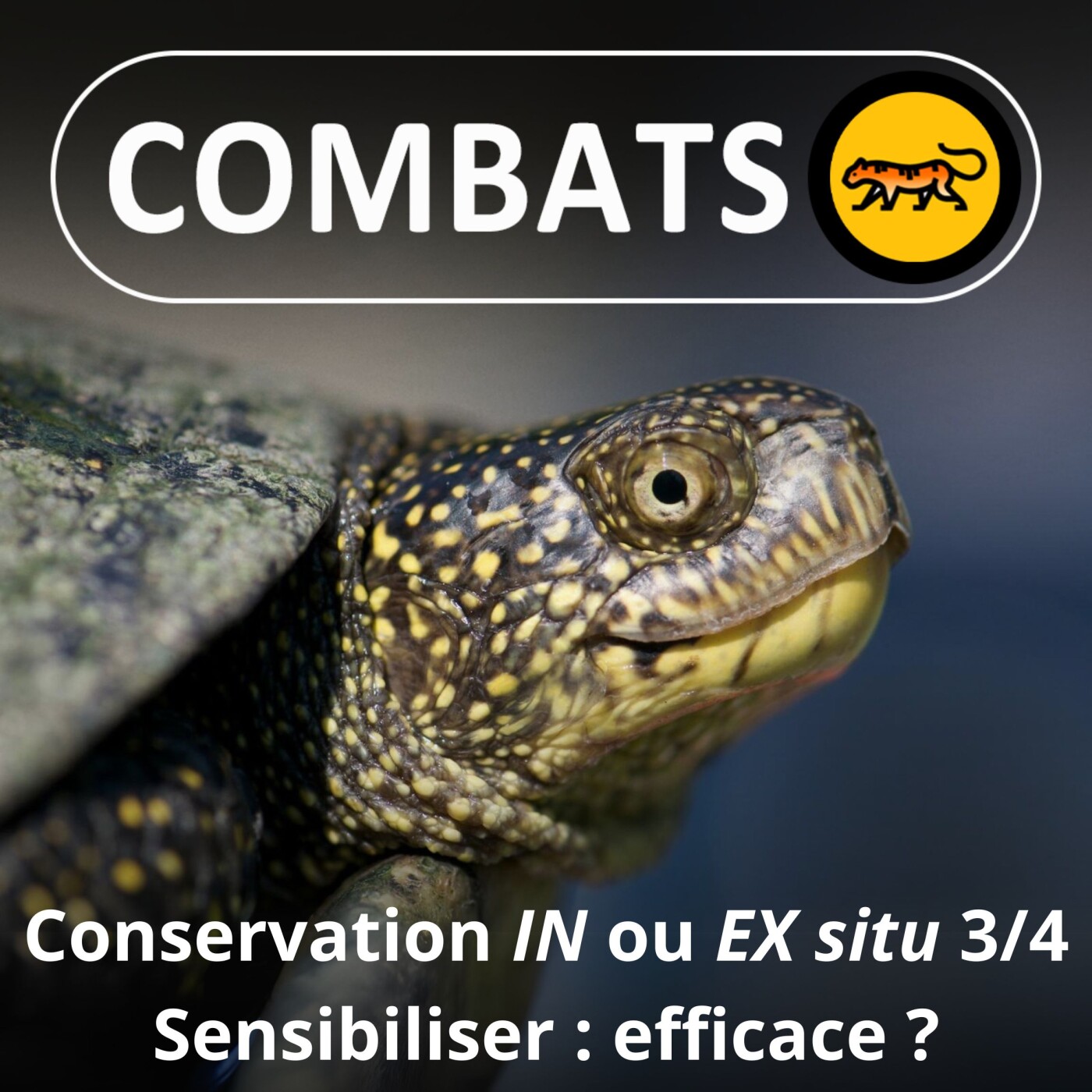 Combats