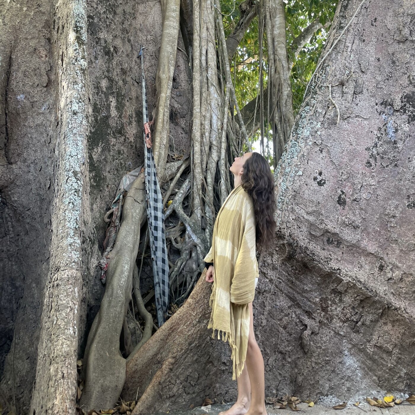 Tant qu\'il y aura des Arbres