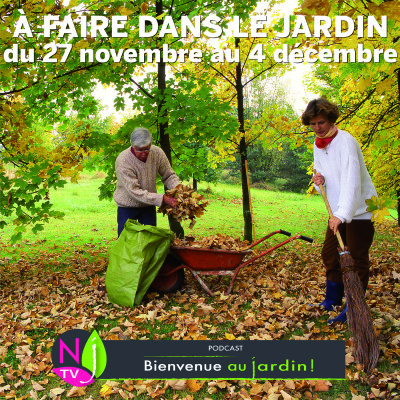 QUE FAIRE DANS LE JARDIN DU 27 NOVEMBRE AU 4 DÉCEMBRE ? cover
