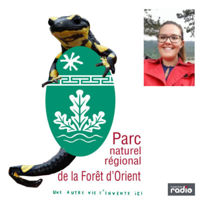 LE MAG TOURISME DE L'ÉTÉ - Le Parc naturel régional de la Forêt d’Orient cover