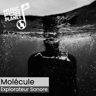 Molecule, explorateur sonore cover