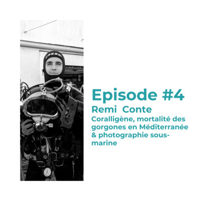 #4 - Rémi Conte : Coralligène, mortalité des gorgones en Méditerranée & photographie sous-marine cover