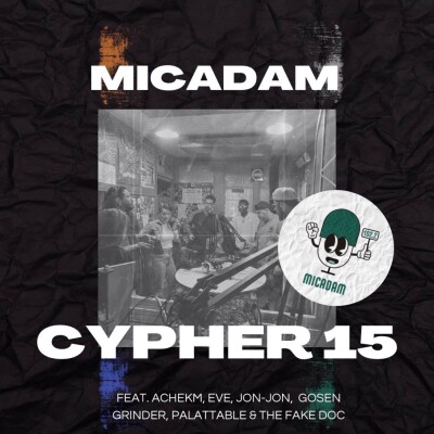MICADAM cypher 15 cover