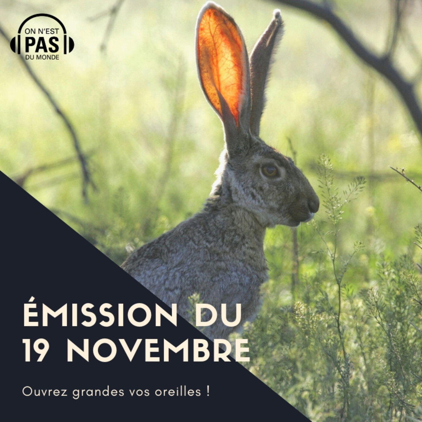 E92 - Découvertes/Héritage/Proches aidants
