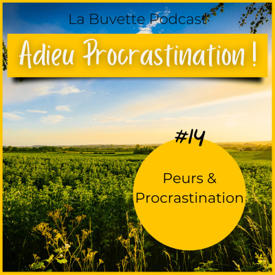 #14 En finir avec la procrastination ! cover