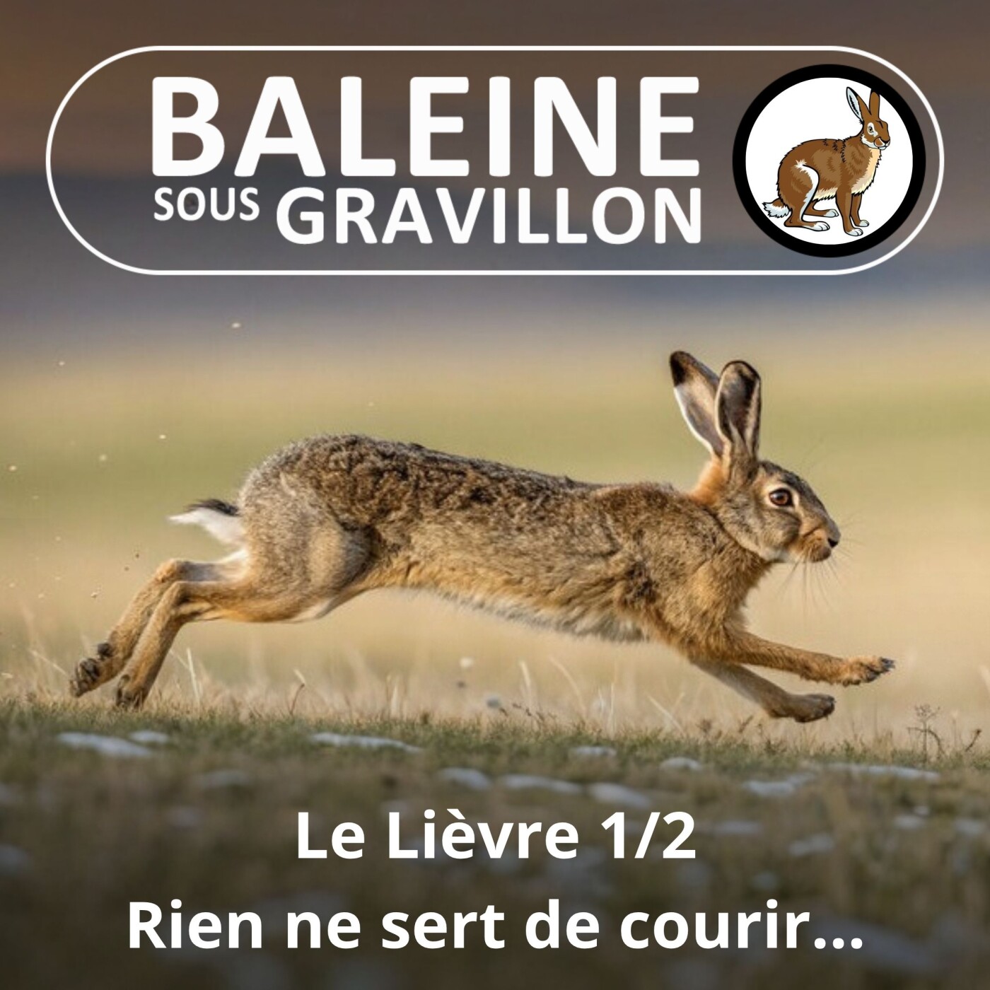 S05E36 Le Lièvre 1/2 : Rien ne sert de courir ... episode artwork