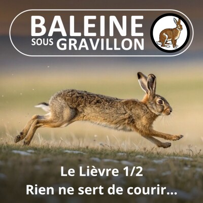 S05E36 Le Lièvre 1/2 : Rien ne sert de courir ... cover