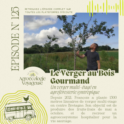 #125 François du Verger au Bois Gourmand 🫐🌳 Produire des fruits en Syntropie cover