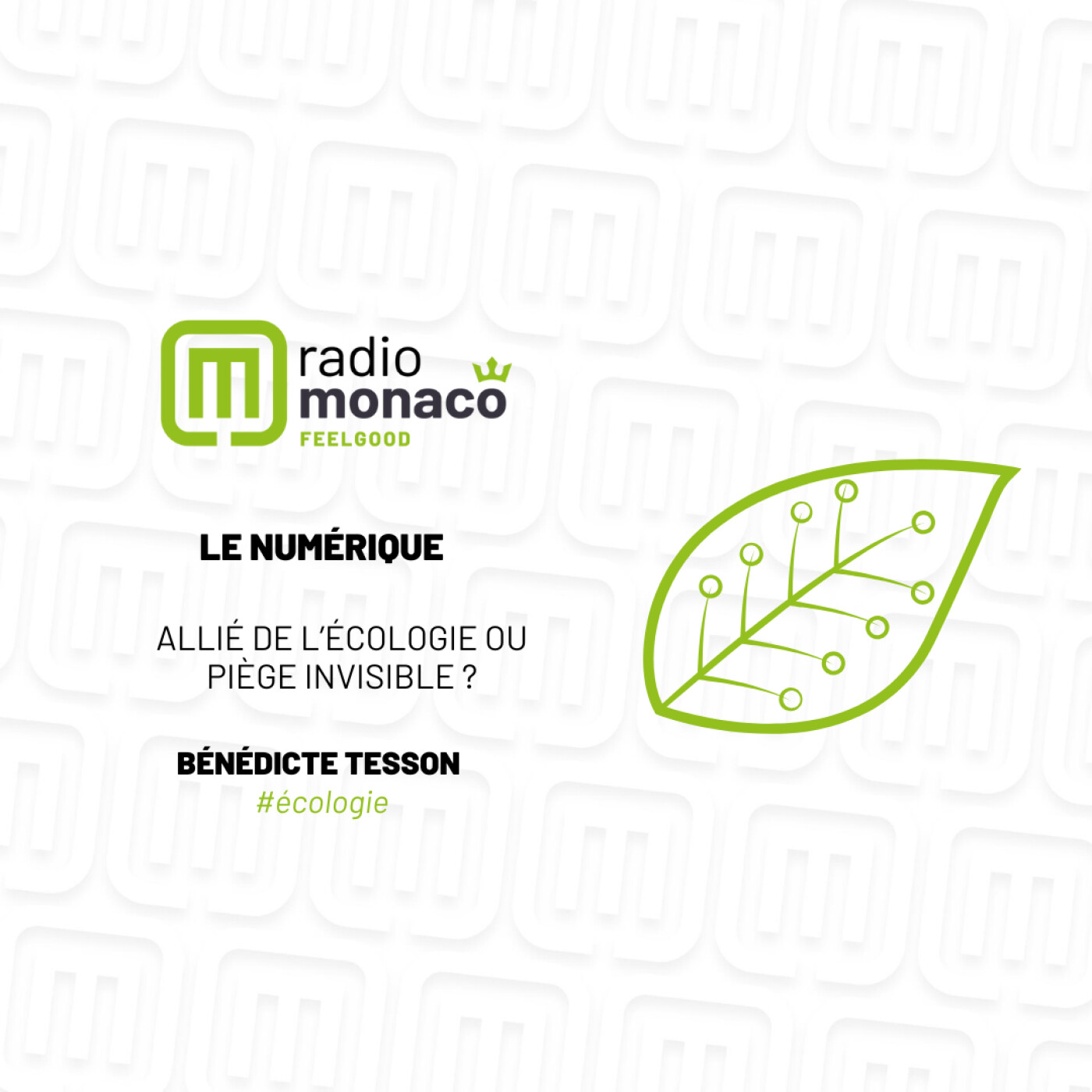 Le numérique: allié de l'écologie ou piège invisible ? episode artwork
