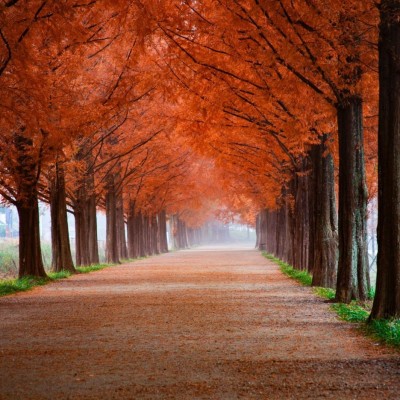 How to Restore Peace: Part 2 cover