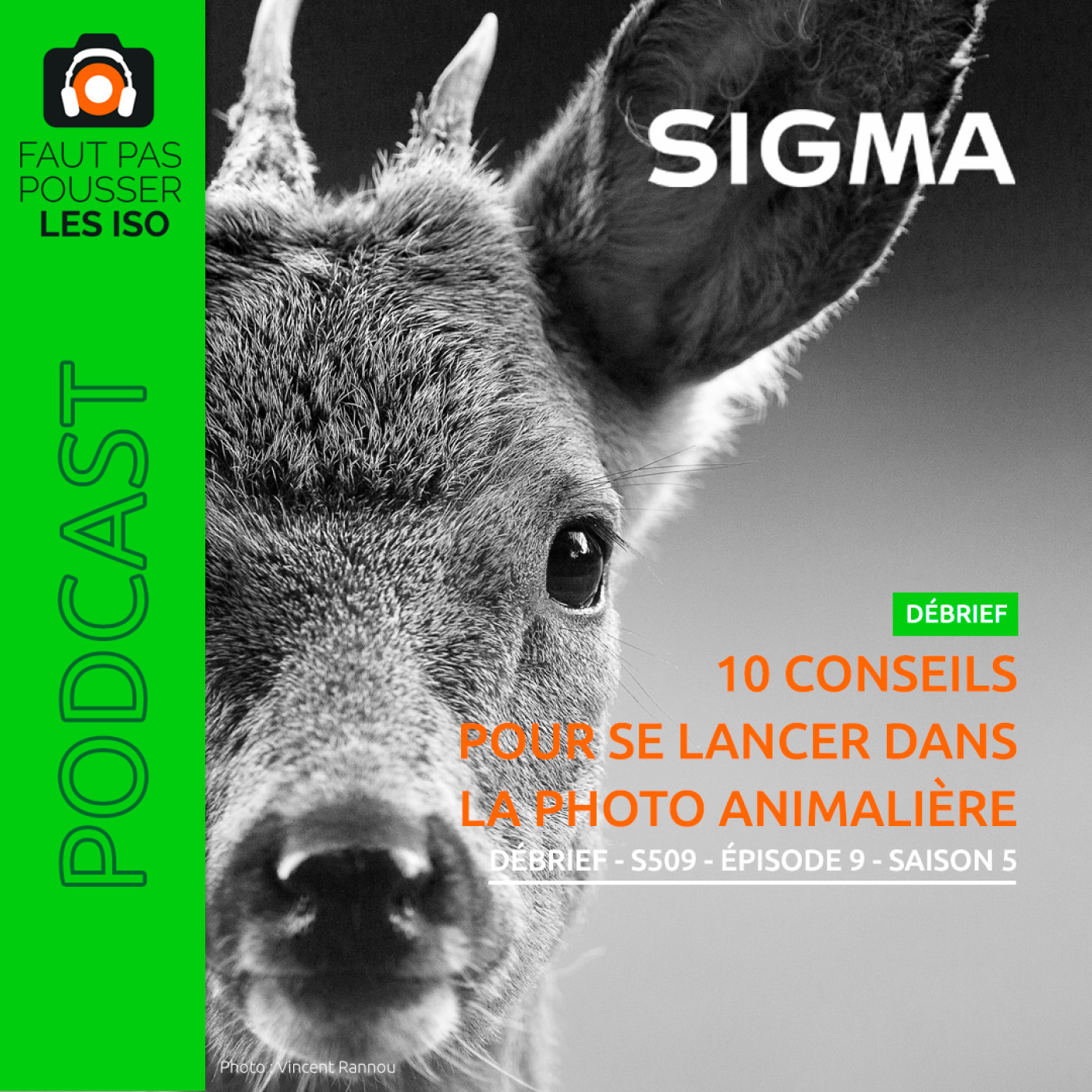 DÉBRIEF - S509 - 10 conseils pour se lancer dans la photo animalière