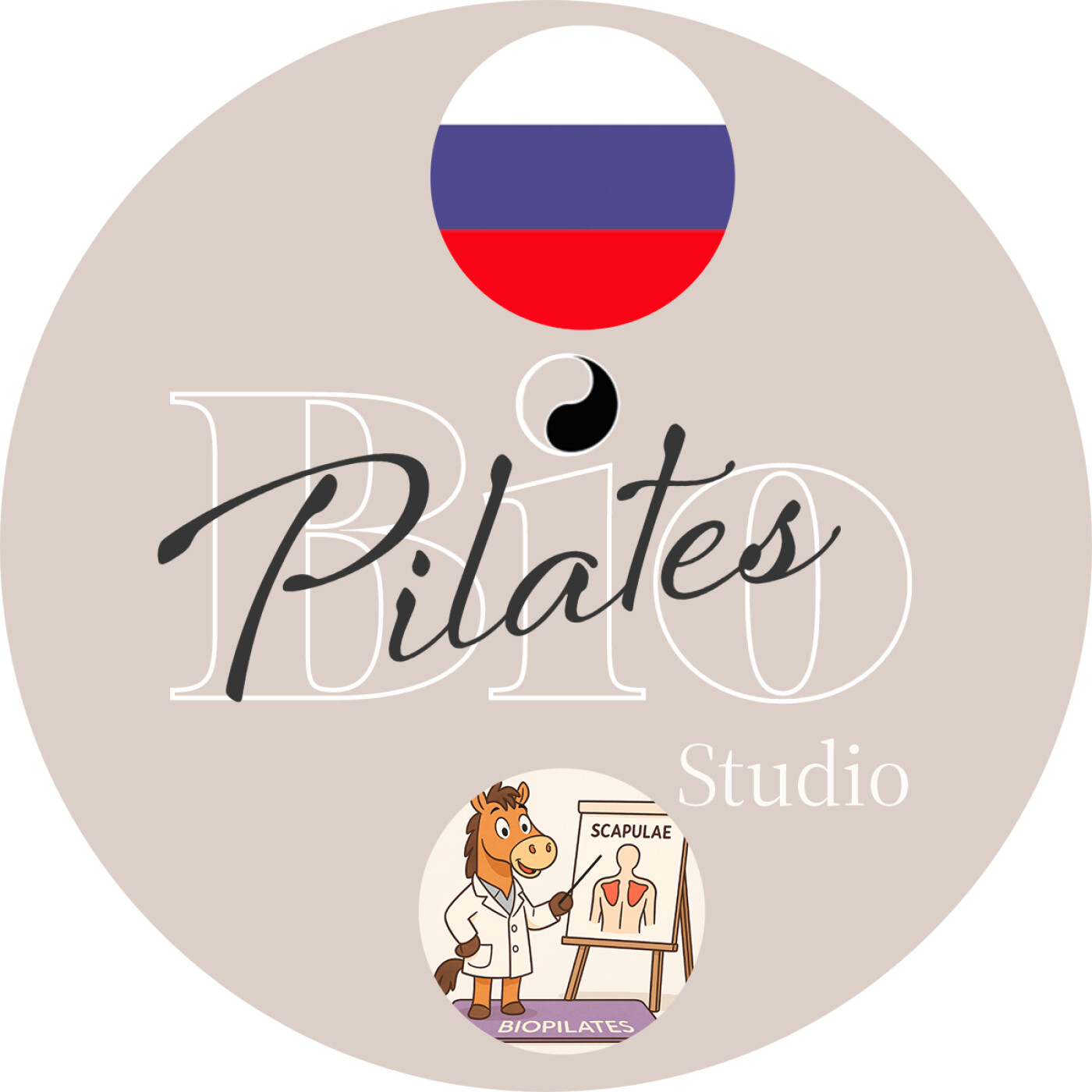 🇷🇺 🏇 Мобильность и Стабилизация Лопаток: Биомеханика Человека и Лошади -Stott Pilates Scapula stabilization episode artwork