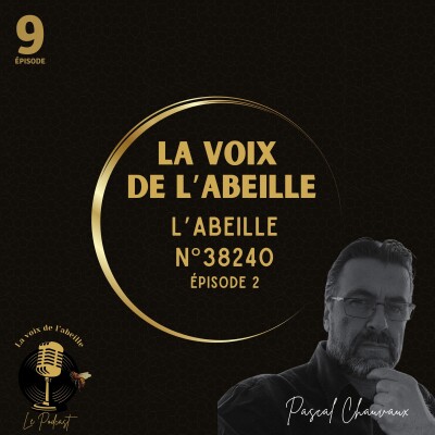 #9 - L' Abeille 38240 épisode 2 cover
