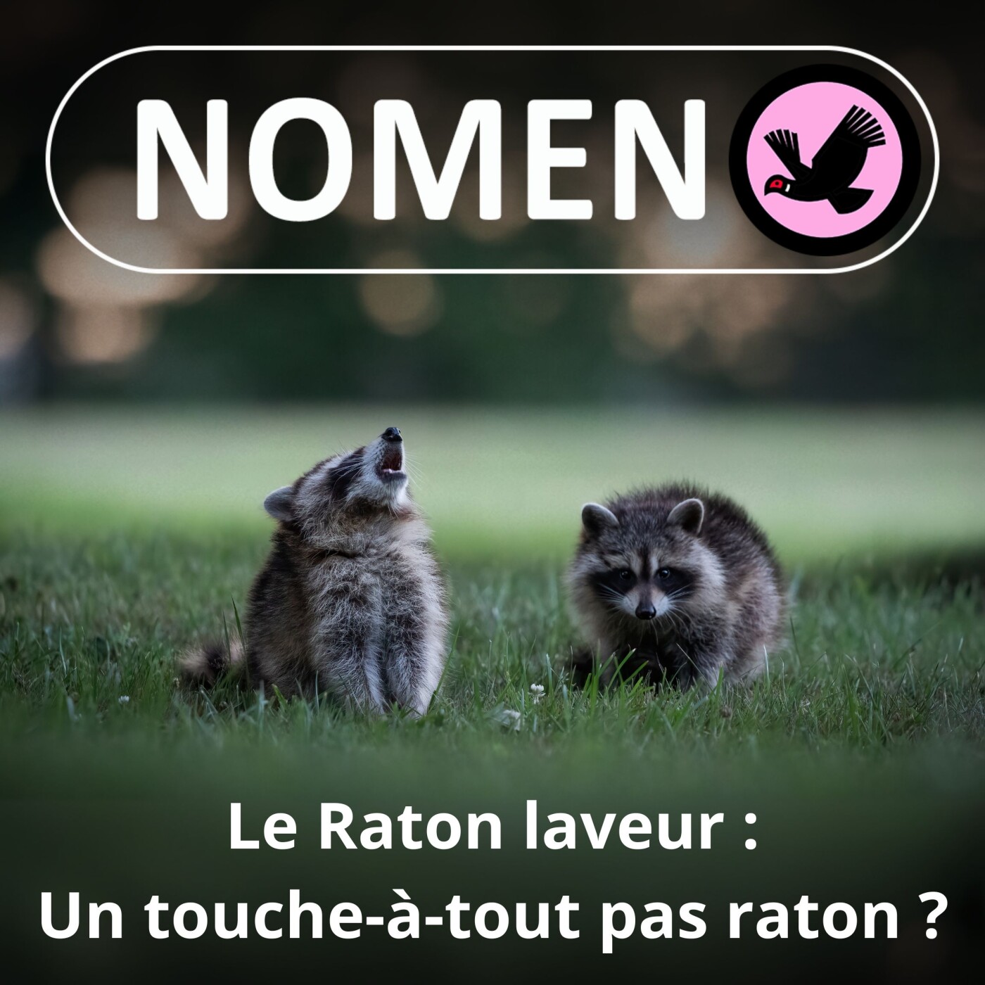 Nomen
