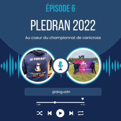 #6 Pledran 2022, au coeur du championnat du monde de canicross cover