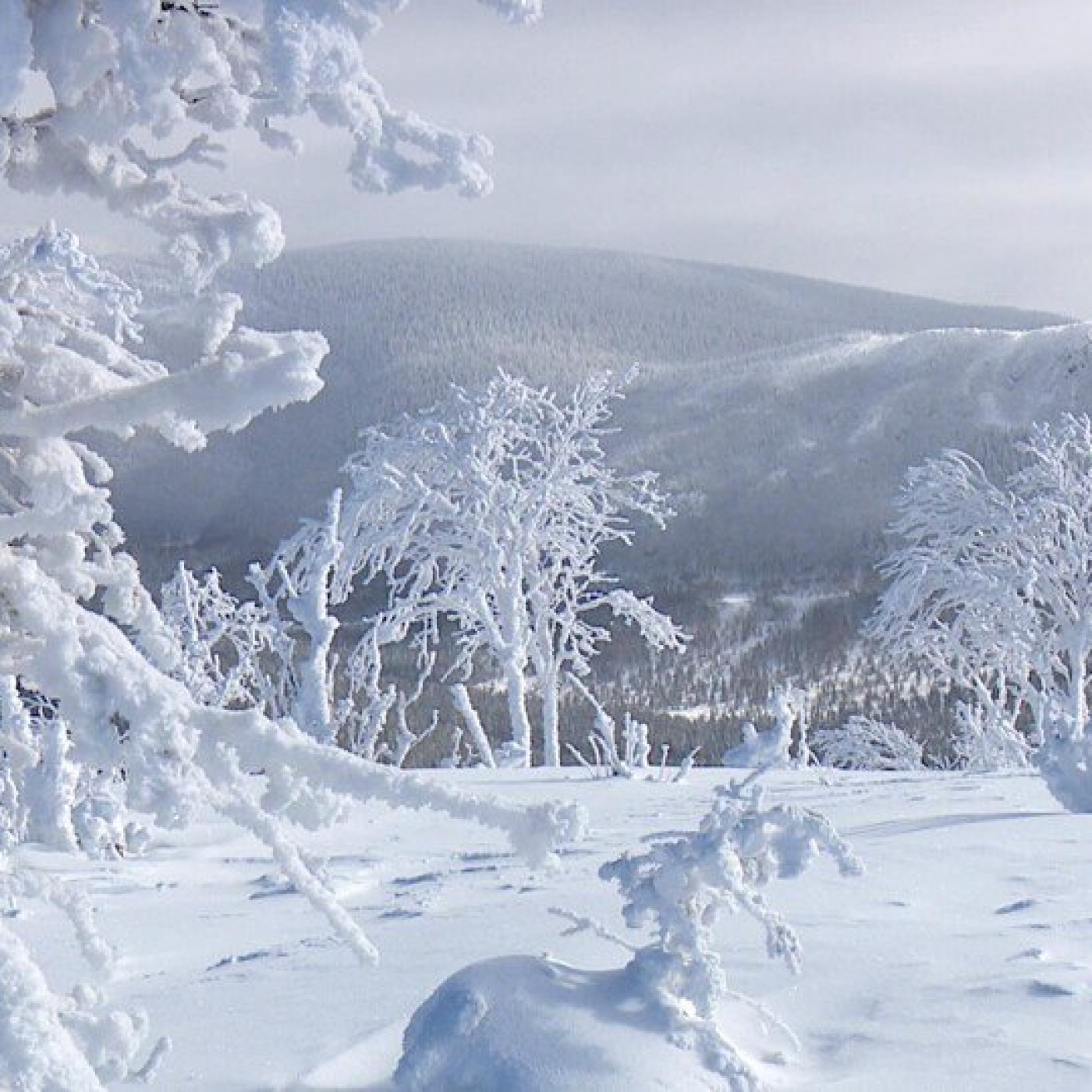 Un Confinement en Gaspésie, au Québec