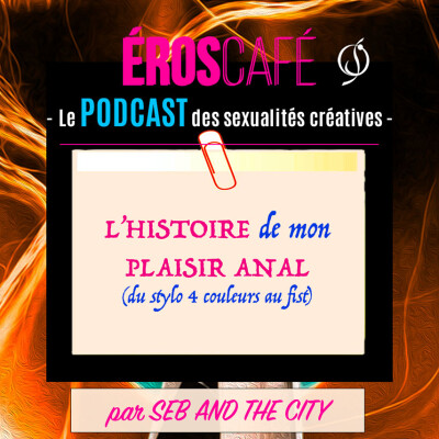 L'HISTOIRE DE MON PLAISIR ANAL, du stylo 4 couleurs au fist - par Seb And The City (8) cover